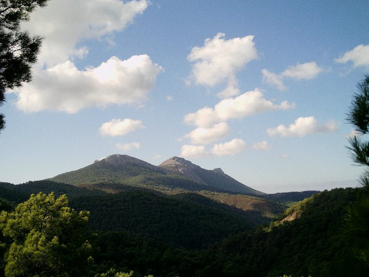 Εικόνα