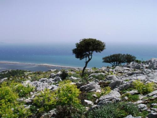 Εικόνα