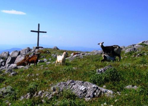 Εικόνα