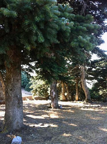 Εικόνα