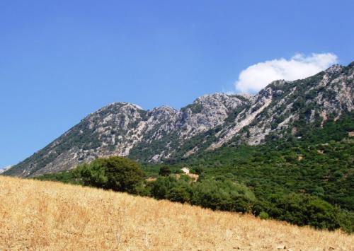 Εικόνα