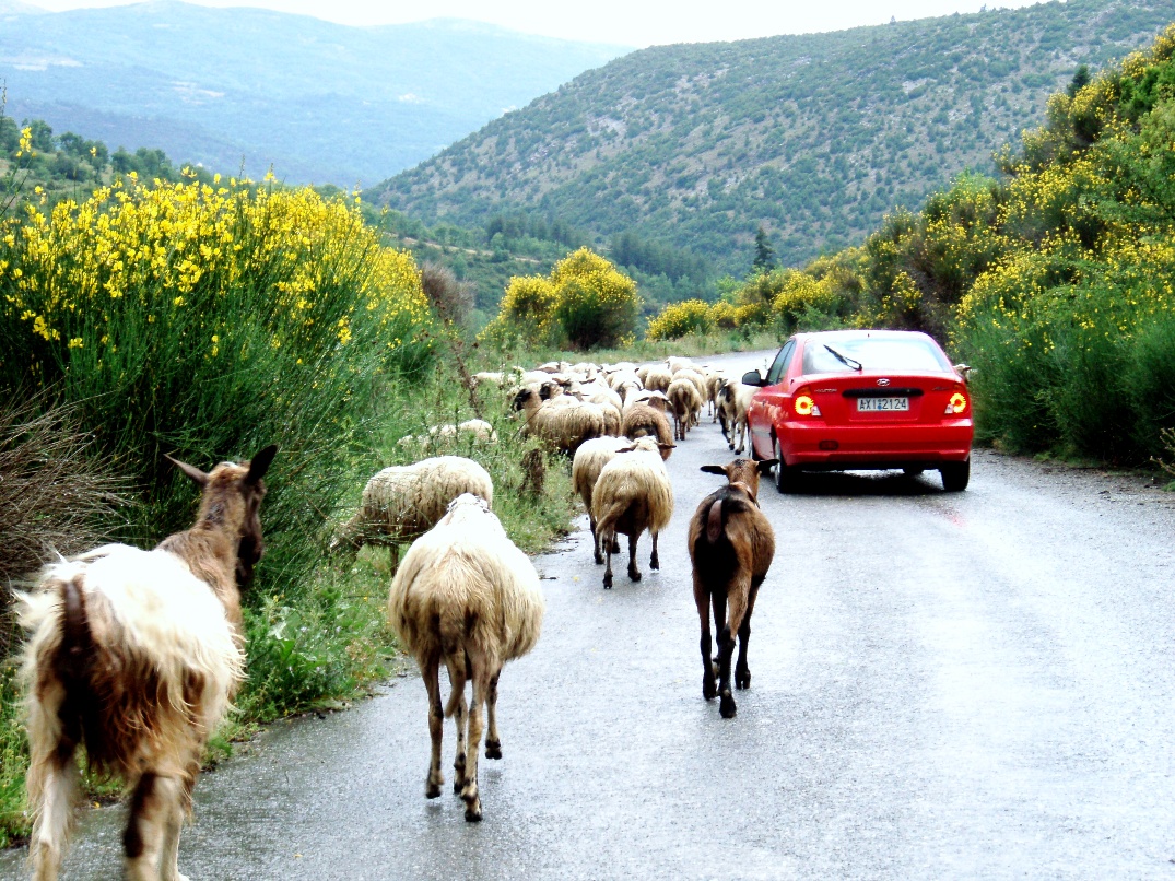Εικόνα