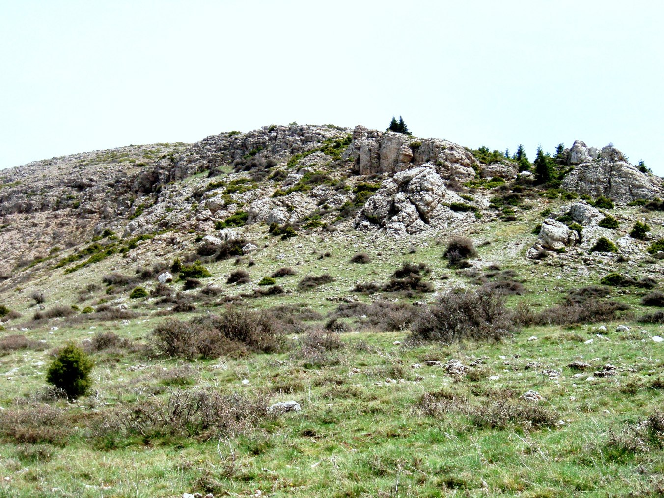 Εικόνα